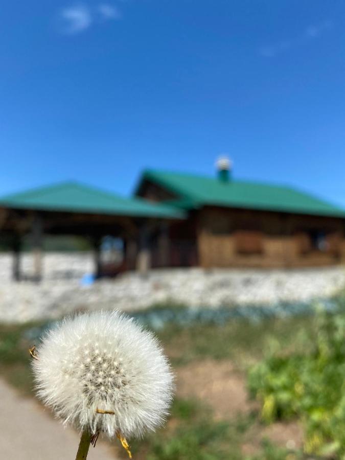 Vikendica Vlahovic Villa Kolasin Exterior photo